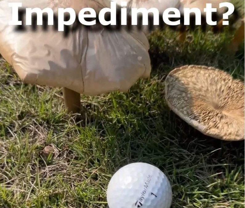 Rules of Golf (fun) – Mushrooms?